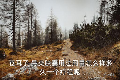  蒼耳子 鼻炎膠囊用法用量怎么樣多久一個療程呢