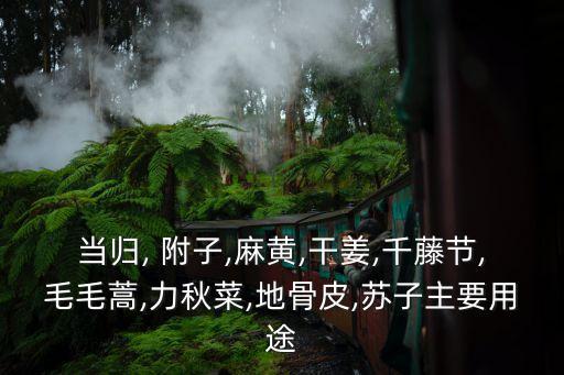 當歸, 附子,麻黃,干姜,千藤節,毛毛蒿,力秋菜,地骨皮,蘇子主要用途