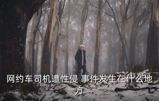 網(wǎng)約車司機遭性侵 事件發(fā)生在什么地方