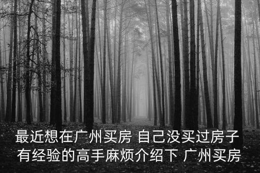 最近想在廣州買房 自己沒買過房子 有經驗的高手麻煩介紹下 廣州買房