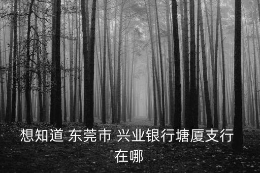 興業銀行東莞分行首筆票據池，關于興業銀行