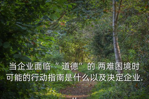 當企業面臨“ 道德”的 兩難困境時可能的行動指南是什么以及決定企業...