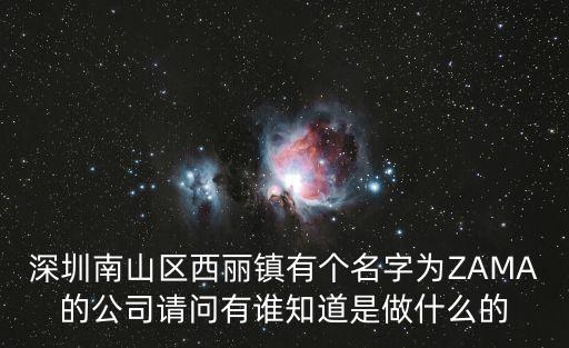 深圳南山區西麗鎮有個名字為ZAMA的公司請問有誰知道是做什么的