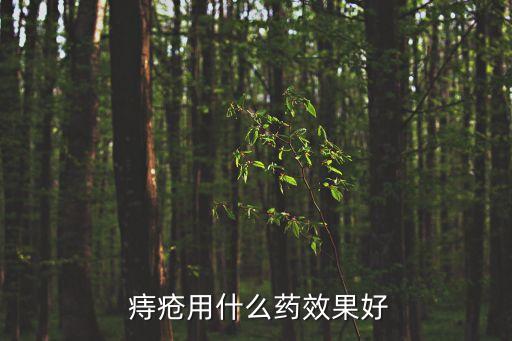 痔瘡藥哪種好,內服痔瘡藥哪種好