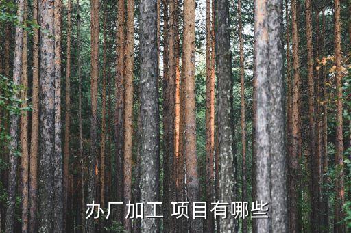 在家辦廠有什么好項目,開個不愁銷路的小廠