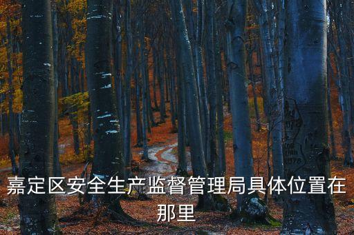 嘉定區安全生產監督管理局具體位置在那里