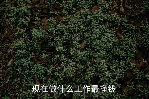 現在做什么工作最掙錢