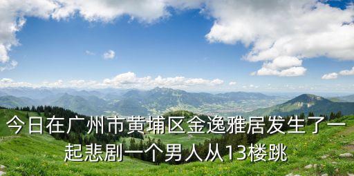 2017廣州黃埔砍人，今日在廣州市黃埔區金逸雅居發生了一起悲劇一個男人從13樓跳