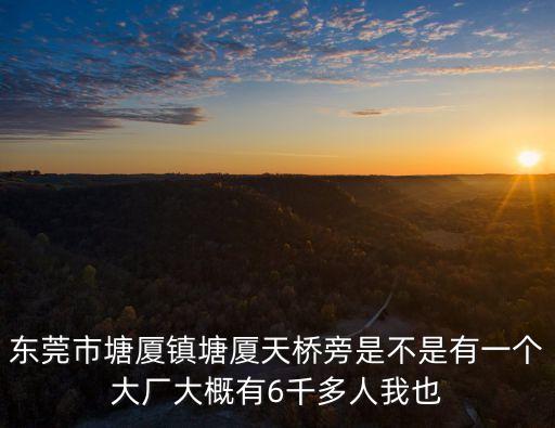 東莞市塘廈鎮塘廈天橋旁是不是有一個大廠大概有6千多人我也
