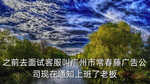 廣州市實地常春藤，廣州市白云路上樹是什么樹