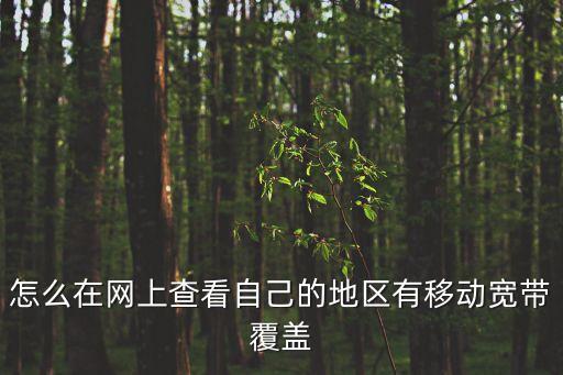 怎么在網上查看自己的地區(qū)有移動寬帶覆蓋
