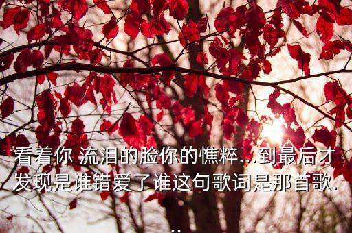 看著你 流淚的臉你的憔粹…到最后才發(fā)現(xiàn)是誰錯愛了誰這句歌詞是那首歌...
