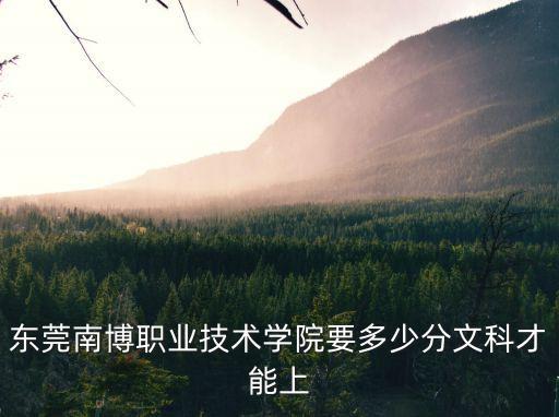 東莞南博職業學院錄取分數線，東莞南博職業技術學院要多少分文科才能上