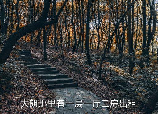大朗那里有一層一廳二房出租