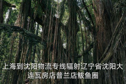 上海市遼陽路508弄文通雅苑，上海市富虹灣酒店在哪里