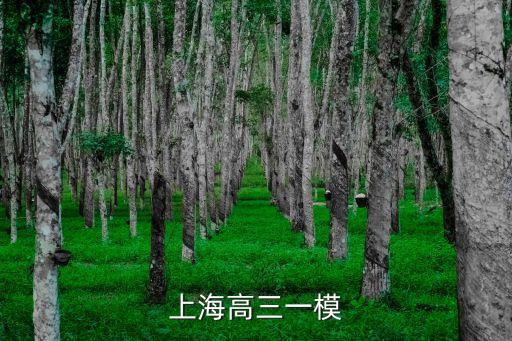 2019上海市嘉定區高三數學一模，上海哪幾個區的一模 二模卷比較重要