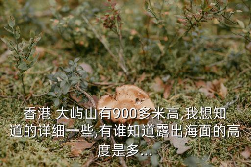 香港 大嶼山有900多米高,我想知道的詳細一些,有誰知道露出海面的高度是多...