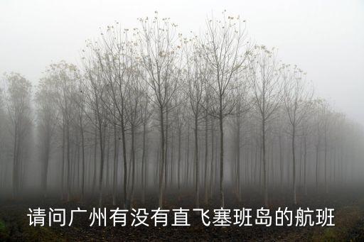 廣州直飛塞爾維亞，從廣州有沒有飛維也納的直航