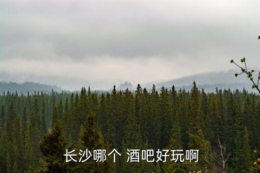 長沙哪個 酒吧好玩啊