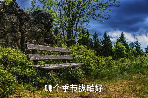 哪個季節拔罐好