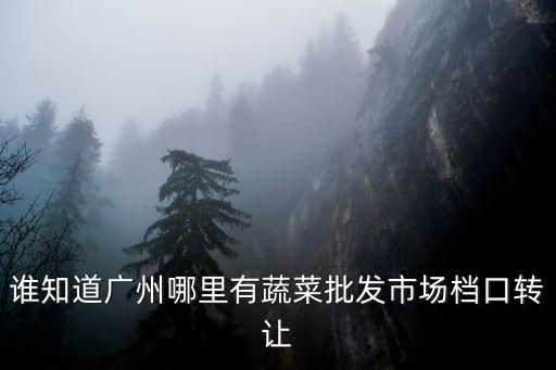廣州夜市檔轉讓，誰知道廣州哪里有蔬菜批發市場檔口轉讓