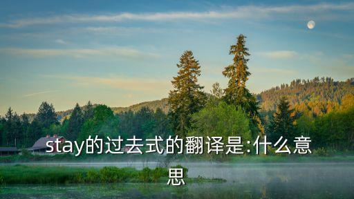  stay的過去式的翻譯是:什么意思