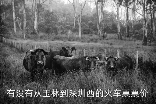 玉林到深圳西的火車票，有沒有從玉林到深圳西的火車票票價
