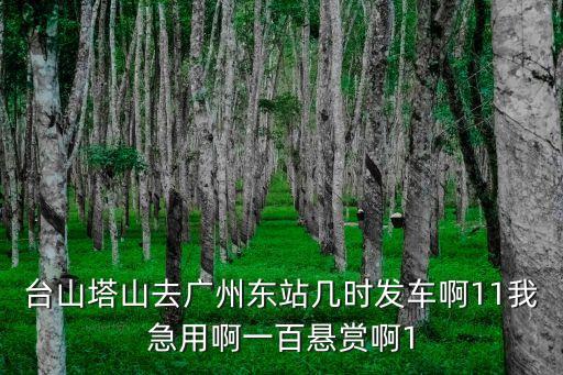 臺山塔山去廣州東站幾時發車啊11我急用啊一百懸賞啊1