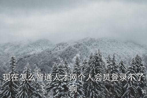 現在怎么智通人才網個人會員登錄不了啊