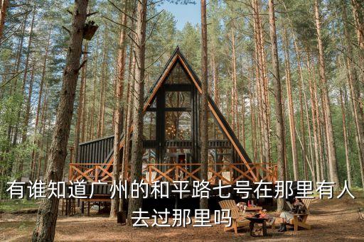 有誰(shuí)知道廣州的和平路七號(hào)在那里有人去過(guò)那里嗎