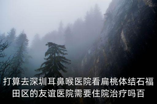 深圳耳鼻喉醫(yī)院合適友誼，打算去深圳耳鼻喉醫(yī)院看扁桃體結(jié)石福田區(qū)的友誼醫(yī)院需要住院治療嗎百