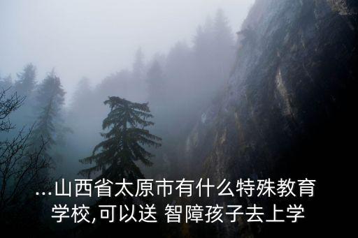...山西省太原市有什么特殊教育 學校,可以送 智障孩子去上學