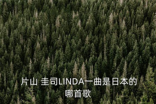 片山圭司,張學友一路上有你》是哪首歌?