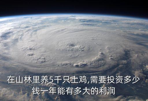 林地養(yǎng)雞,山林地放養(yǎng)土雞怎么養(yǎng)雞?