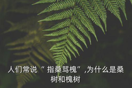 人們常說“ 指桑罵槐”,為什么是桑樹和槐樹