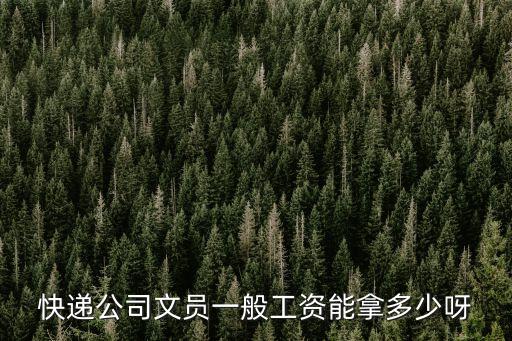 快遞公司文員一般工資能拿多少呀