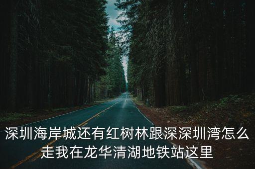 深圳灣去紅，深圳灣公園至紅樹林之間最近的公交車站在哪里