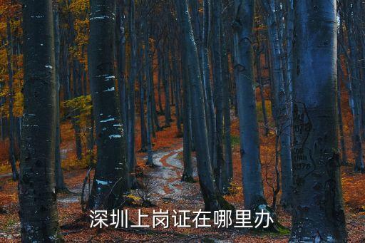 深圳上崗證在哪里辦