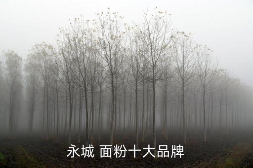 面粉品牌,面包粉、糕點(diǎn)粉、工業(yè)粉等烘焙品牌知名品牌