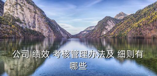 績效考核細則,醫院醫保辦績效考核細則