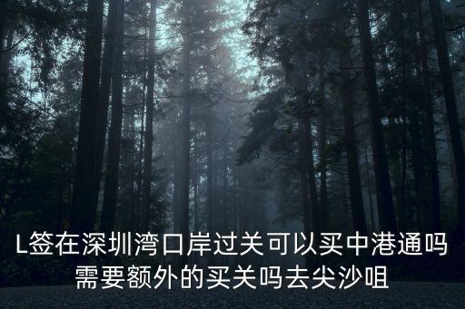 L簽在深圳灣口岸過關可以買中港通嗎需要額外的買關嗎去尖沙咀