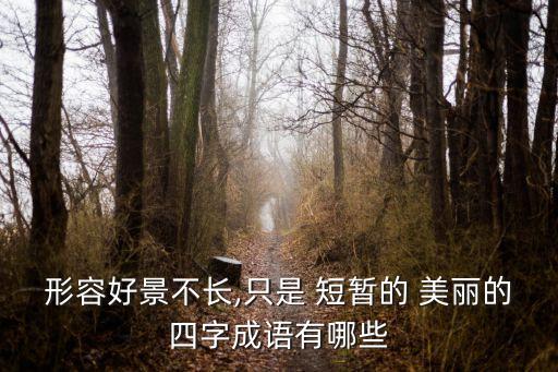 短暫的美麗,人生短暫精彩紛呈
