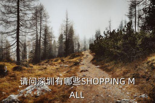 請問深圳有哪些SHOPPING MALL