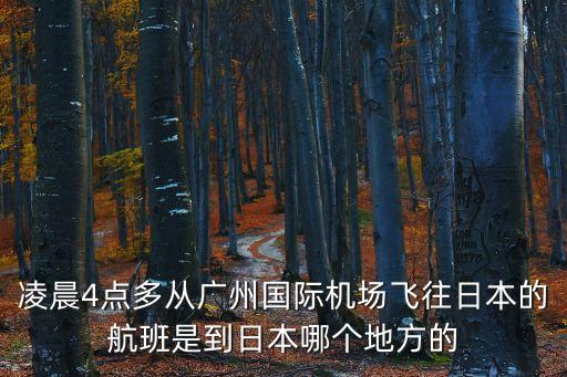 凌晨4點多從廣州國際機場飛往日本的航班是到日本哪個地方的