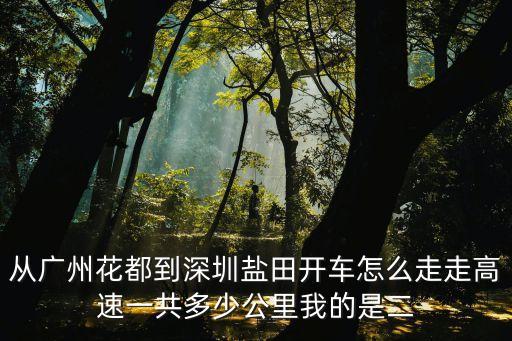 從廣州花都到深圳鹽田開車怎么走走高速一共多少公里我的是二