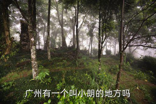 廣州有一個叫小朗的地方嗎