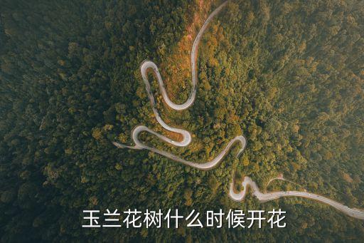 玉蘭花期,玉蘭花期什么時候開花?春暖花開