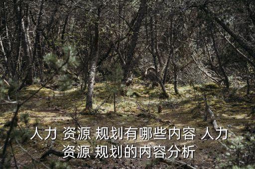 人力資源發展規劃,醫院人力資源發展規劃
