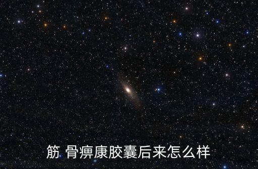 筋 骨痹康膠囊后來怎么樣