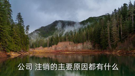 公司注銷原因,公司注銷報名原因:1.被依法宣告破產
